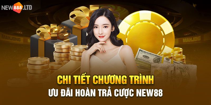 Thể lệ chính sách ưu đãi hoàn trả vô đối