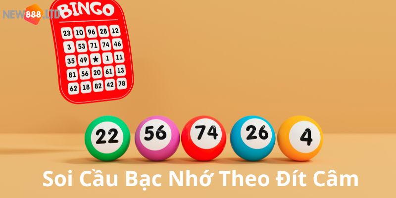 Mẹo hay soi cầu bạc nhớ theo đít câm chuẩn chỉnh