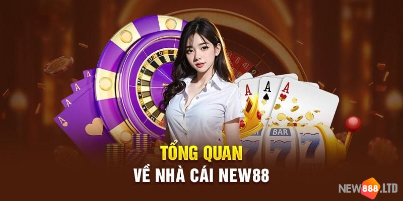 Giới thiệu đôi nét về nhà cái uy tín New88