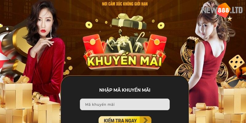 Tham gia nhận ưu ưu đãi từ New88 thỏa sức cá cược online