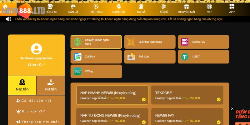 Nạp tiền cược tại New88 bằng hình thức qua thẻ cào